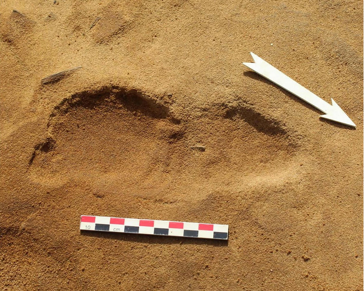Во Франции обнаружены следы неандертальцев
