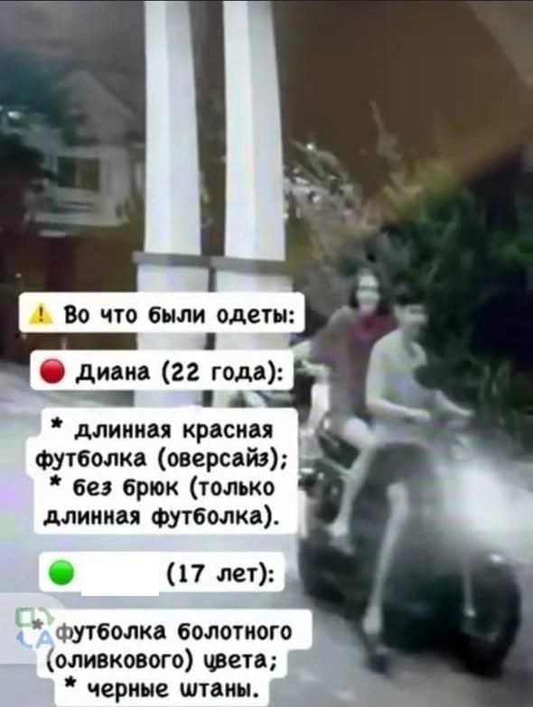 Первые ориентировки выглядели так | Источник: ___zarina___ / Instagram (принадлежит компании Meta, которая признана экстремистской и запрещена территории РФ)