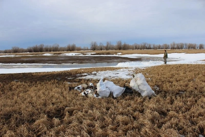 Охотник случайно застрелил человека в Югре