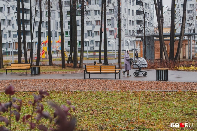 Современный и зеленый двор в центре города | Источник: Тимофей Калмаков
