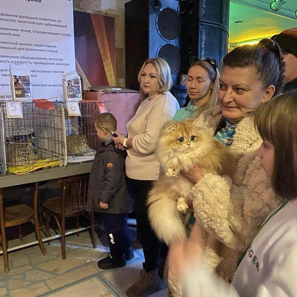 Источник: Ирина Господаренко / NGS22.RU