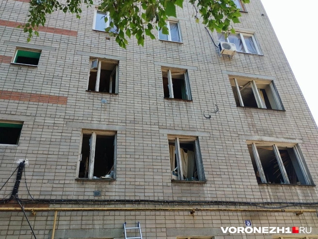 Источник: Дмитрий Волгин / Voronezh1.ru