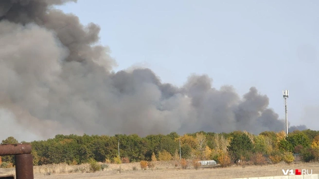 Источник: читатели V1.RU