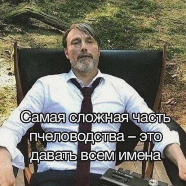 Источник: соцсети