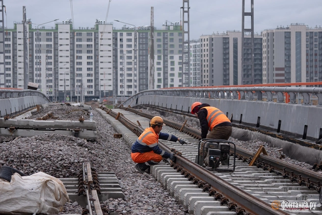 Источник: Сергей Николаев / «Фонтанка.ру»