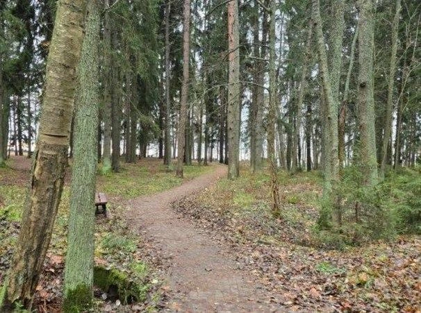 Актуальное состояние зеленой зоны | Источник: ЕИС «Закупки» / ООО «Мегапроектинвест»
