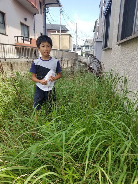 Мальчик победил сорняки на заднем дворе, бегая по ним каждый день по полчаса