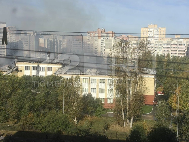 Источник: 72.RU