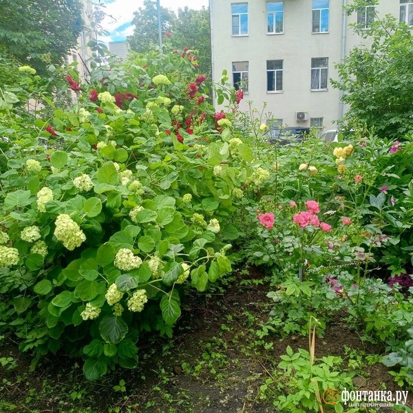 Источник: Ирина Корбат / FONTANKA.RU