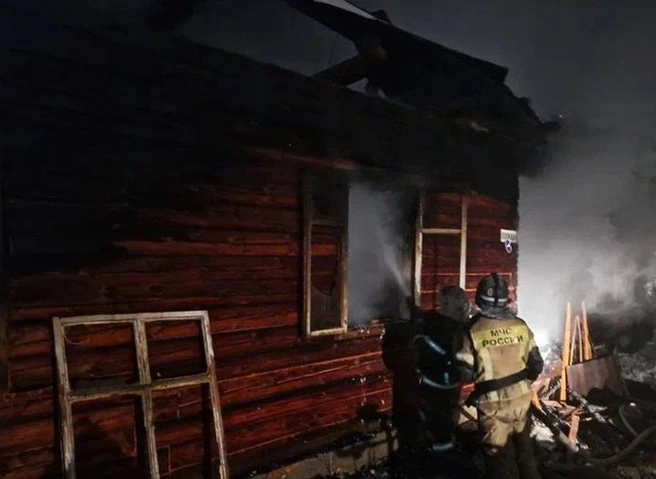 В Республике Алтай на пожаре погибли двое детей | ya62.ru