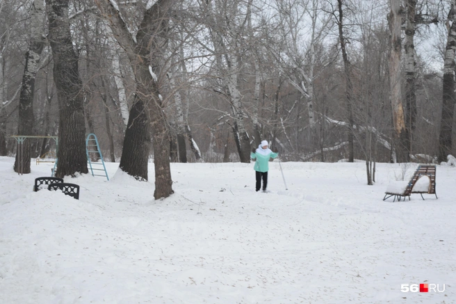 Люди разных возрастов охотно катаются на лыжах зимой | Источник: Анастасия Баринова / 56.RU
