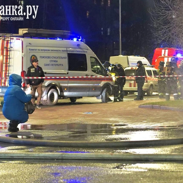 Источник: Павел Даиси / FONTANKA.RU