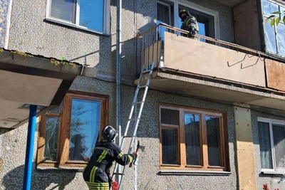 Ladder, axe, EMERCOM rescuers save Minusinsk cat