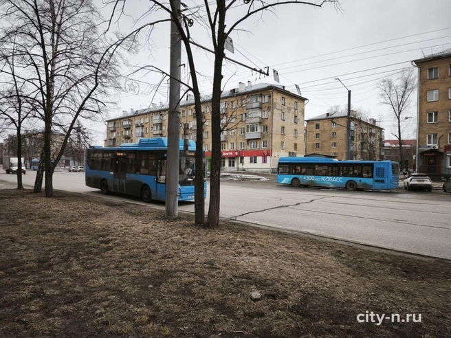Источник: www.city-n.ru