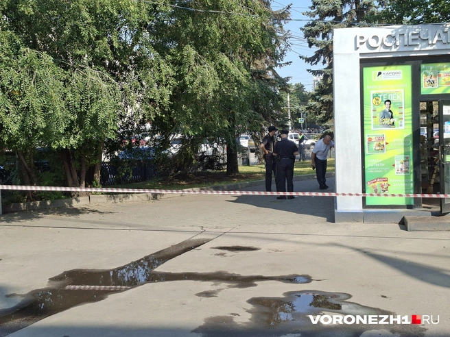 Источник: Алёна Воропаева / Voronezh1.ru