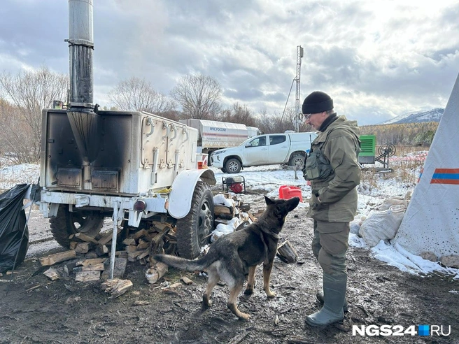 К поискам семьи Усольцевых подключили кинологическую службу | Источник: Алексей Тайганавт / NGS24.RU
