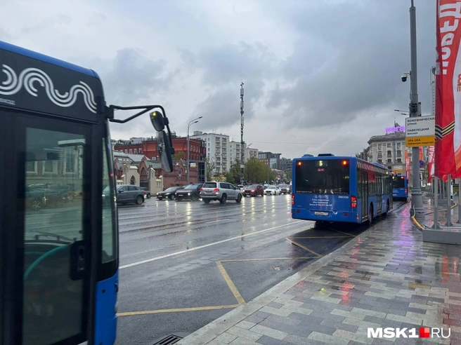 Кадры с улиц Москвы | Источник: Иван Гусаров / MSK1.RU