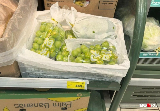 Источник: Анастасия Шевякова / 86.RU