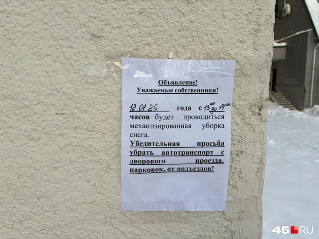 Источник: Кирилл Митин