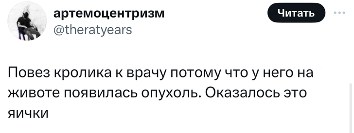 В «Твиттере» делятся тупыми причинами, по которым возили животных в ветеринарные клиники. И это уморительно!