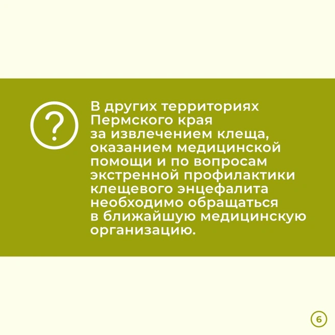 Источник: Минздрав Пермского края