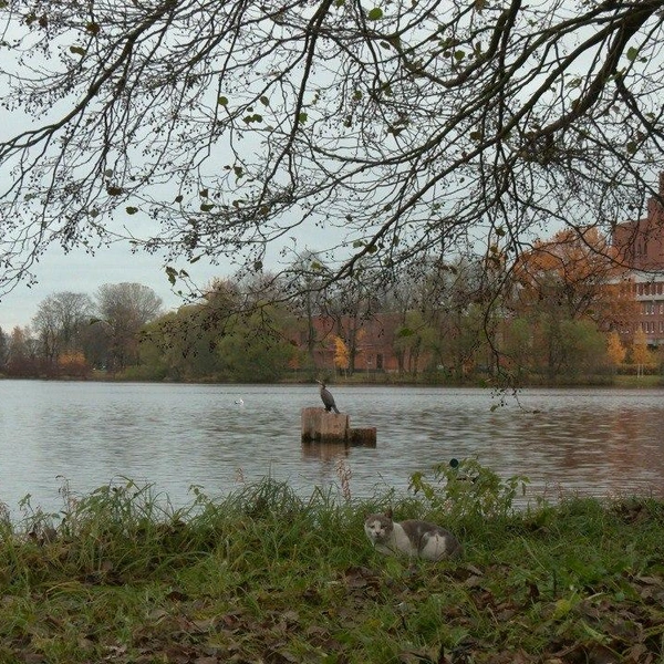 Источник:  Павел Глазков / «Каждой твари по паре»