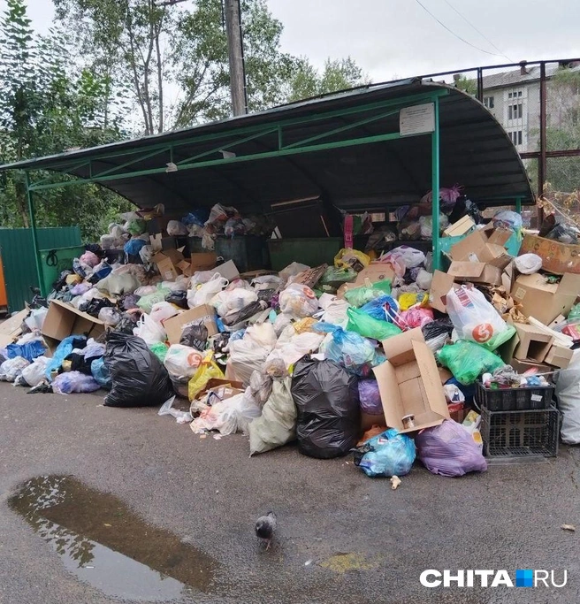 К контейнерам не подойти | Источник: подписчик Telegram-канала CHITA.RU