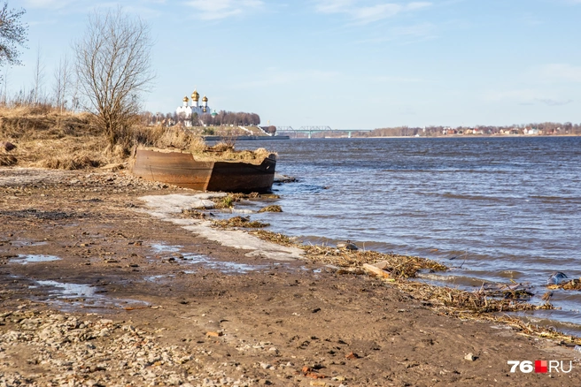Из воды еще больше показалось прибитое к берегу затонувшее судно | Источник: Кирилл Поверинов / 76.RU