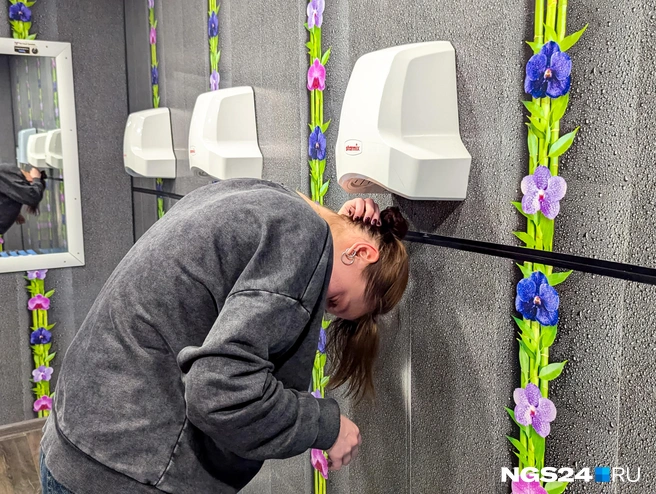 За правильность техники не ручаемся  | Источник: Мария Ленц / NGS24.RU