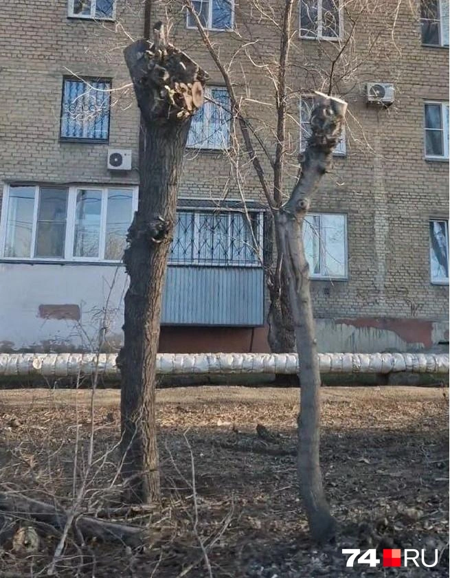 Такую картину сегодня утром заметили жители дома на Артиллерийском переулке, 4 | Источник: читатель 74.RU