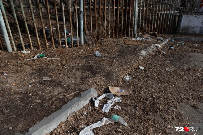 Одни мусорят, а другие на субботниках всё это убирают. Справедливо? | Источник: Ирина Шарова / 72.RU