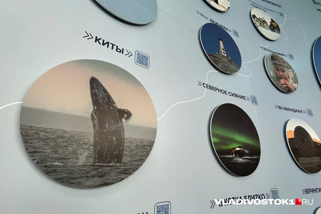 Источник: Елена Буйвол / VLADIVOSTOK1.RU