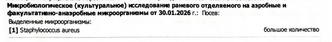 Фрагмент из выписки в БСМП, где указаны результаты взятия анализов от 30 января | Источник: предоставлено 93.RU