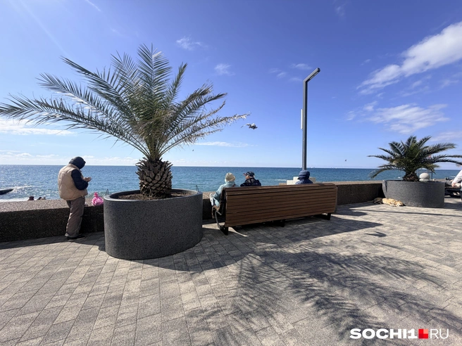 Туристы любят долгие прогулки в Сочи | Источник: Анна Грицевич / SOCHI1.RU