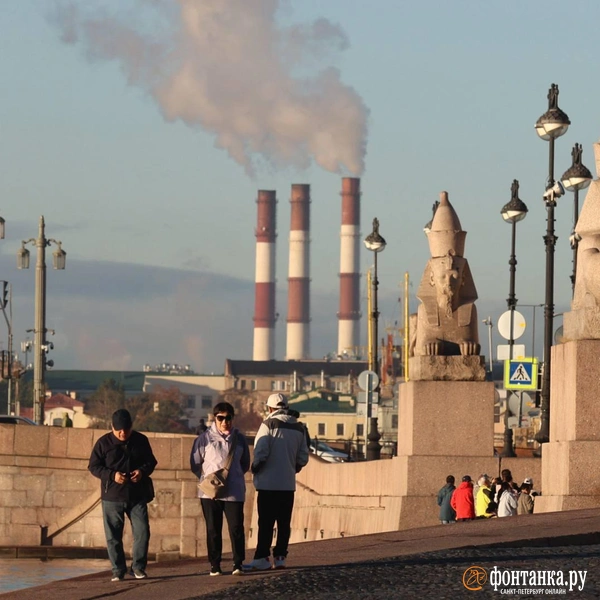 Источник: Валентин Егоршин / «Фонтанка.ру»