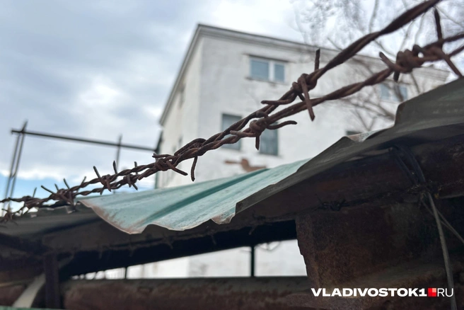 Ему не угодили мусульмане | Источник: Елена Буйвол / VLADIVOSTOK1.RU