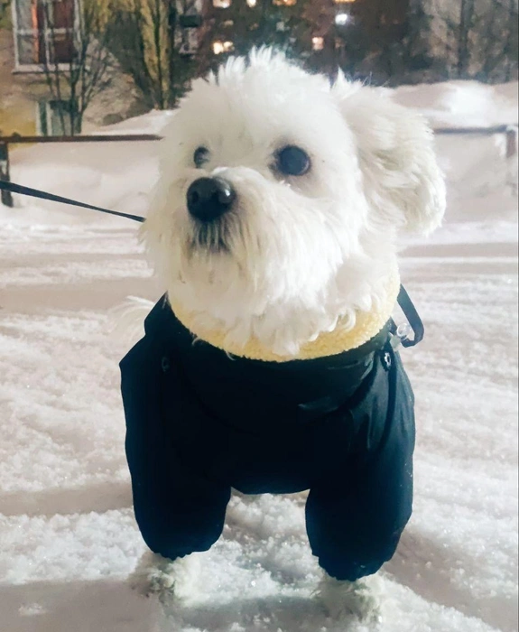 Главное&nbsp;надеть комбинезон потеплее, тогда любой мороз будет ни по чем | Источник: читательница НГС Наталья