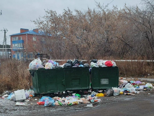 Шадринцев беспокоит мусорная проблема в городе | Источник: ШАДРИНСК РЕГИОН 45 /vk.com 