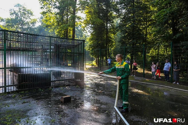 Москву опять накроет дождями | Источник: Тимур Шарипкулов / UFA1.RU