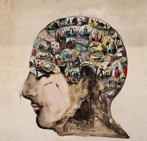 Обманчивая память: как не забыть самое важное или вспомнить даже то, чего не было | Источник: WELLCOME LIBRARY, LONDON