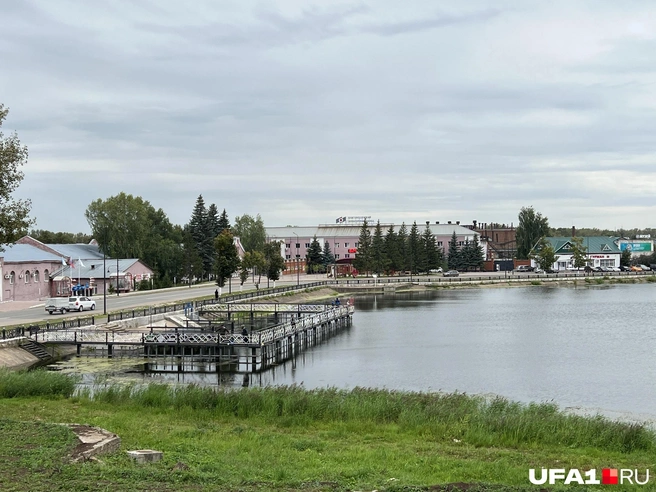 Благовещенский пруд | Источник: Андрей Бирюков / UFA1.RU
