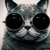 userpic__Засранец
