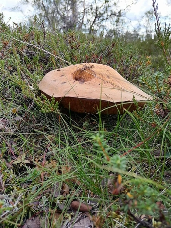 Источник: Илья Иванов