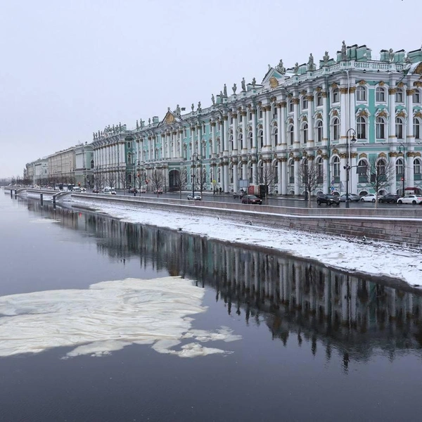 Источник: Сергей Михайличенко/«Фонтанка.ру»