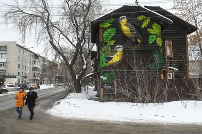 Yekaterinburg developer wins auction for land where housing is banned