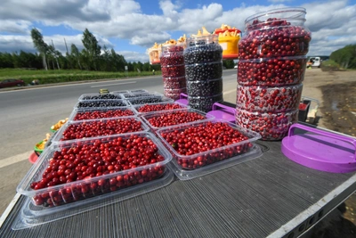 Five top lingonberry preserves for winter