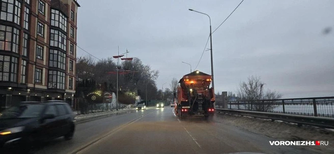 Источник: читатель Voronezh1.ru
