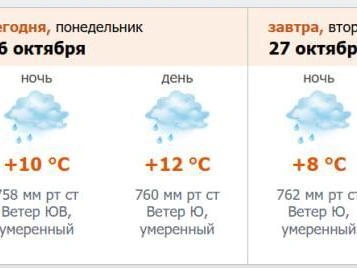 Скриншот с meteo.nw.ru