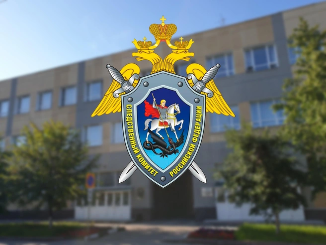 Ульяновскую чиновницу судят за махинации с госконтрактами  | Источник: vk.com/sk_uln