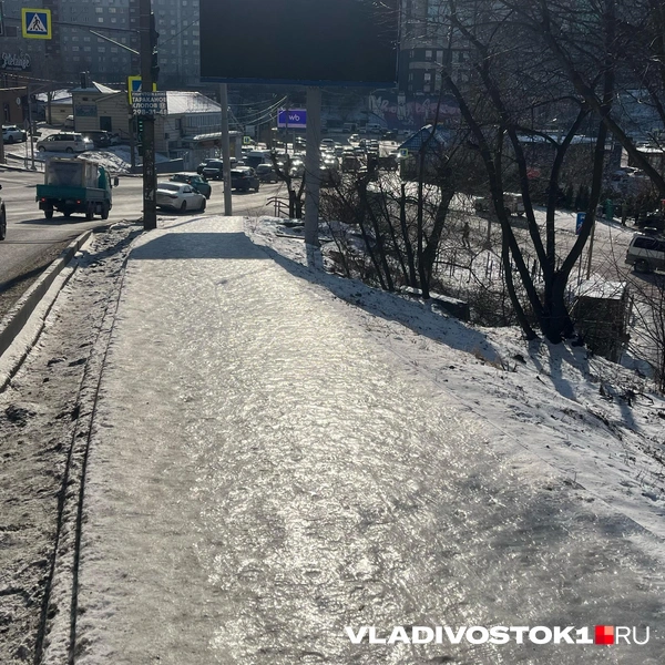 Источник: Елена Буйвол / VLADIVOSTOK1.RU